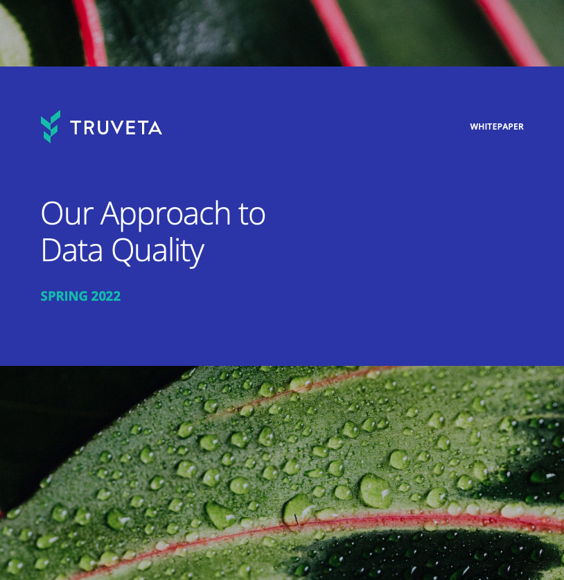 Cover image of data quality whitepaper