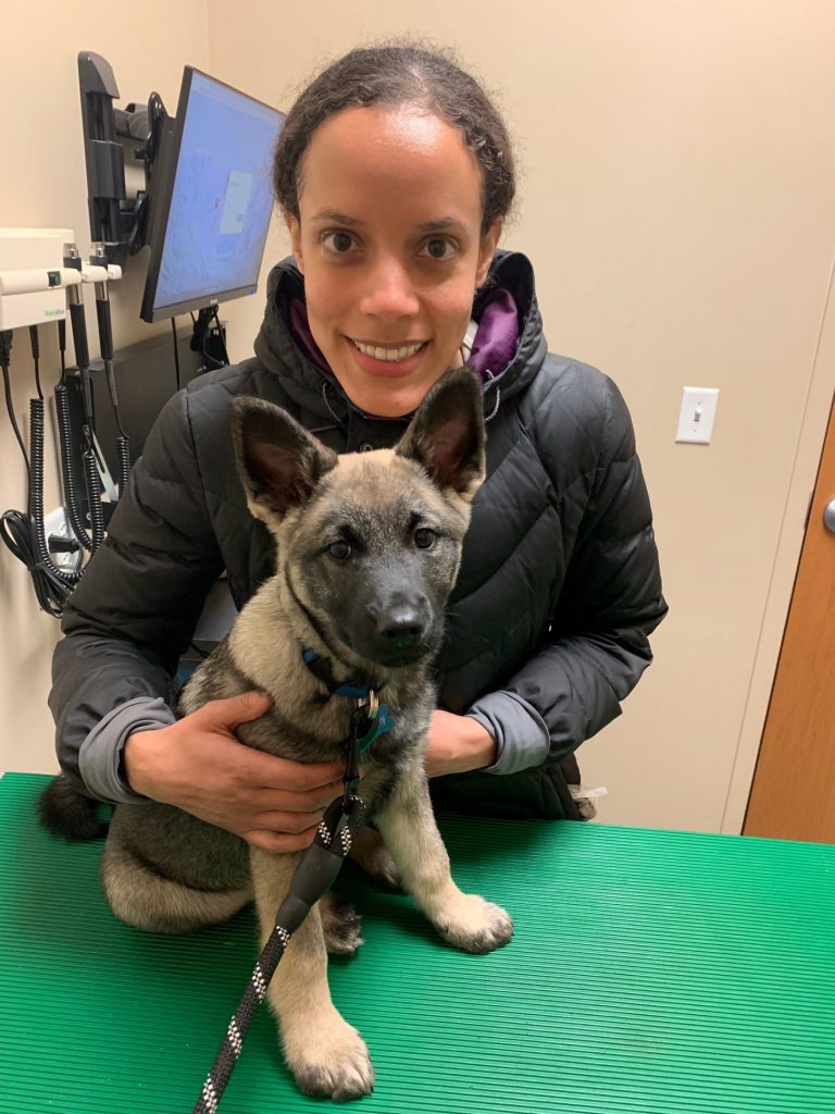 Woman smiling while holding a young puppy on an exam table in a veterinary clinic, with medical equipment visible in the background.