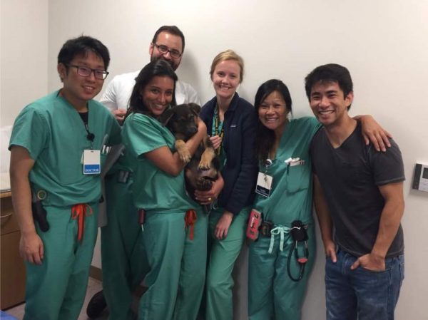 Dr. Ryan Lee, his colleagues, and a small dog.