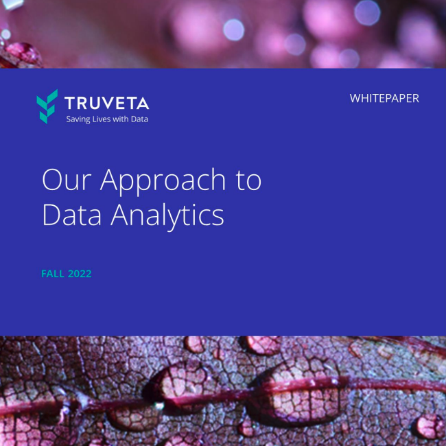 Cover: Our Approach to Data Analytics whitepaper