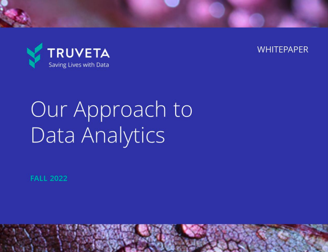 Cover of whitepaper: Our approach to data analytics