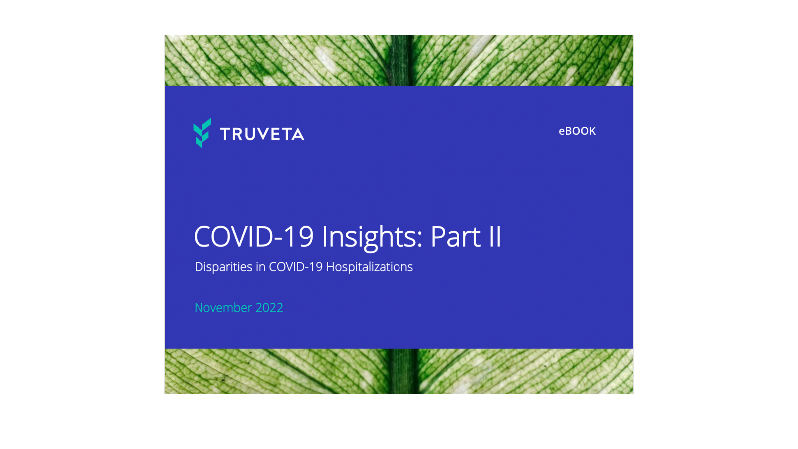 Cover of ebook - COVID-19 insights part II
