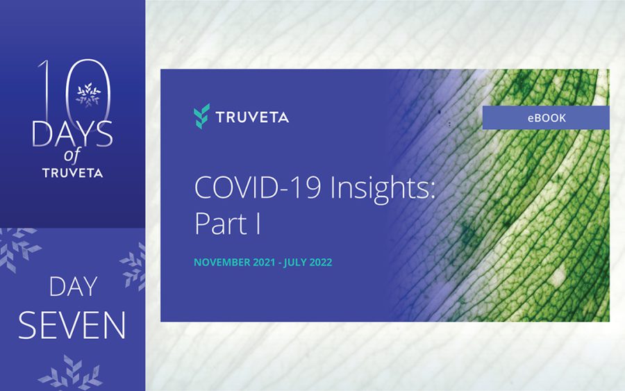 Day 7: The cover of the COVID-19 Insights ebook