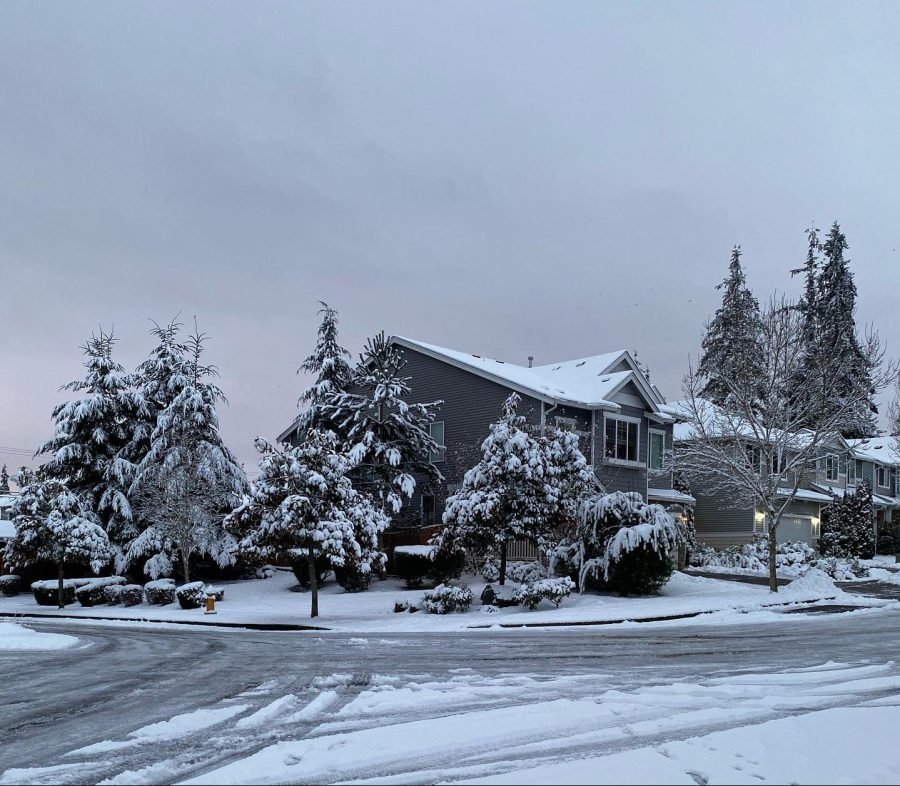 A snowy street in Western Washington