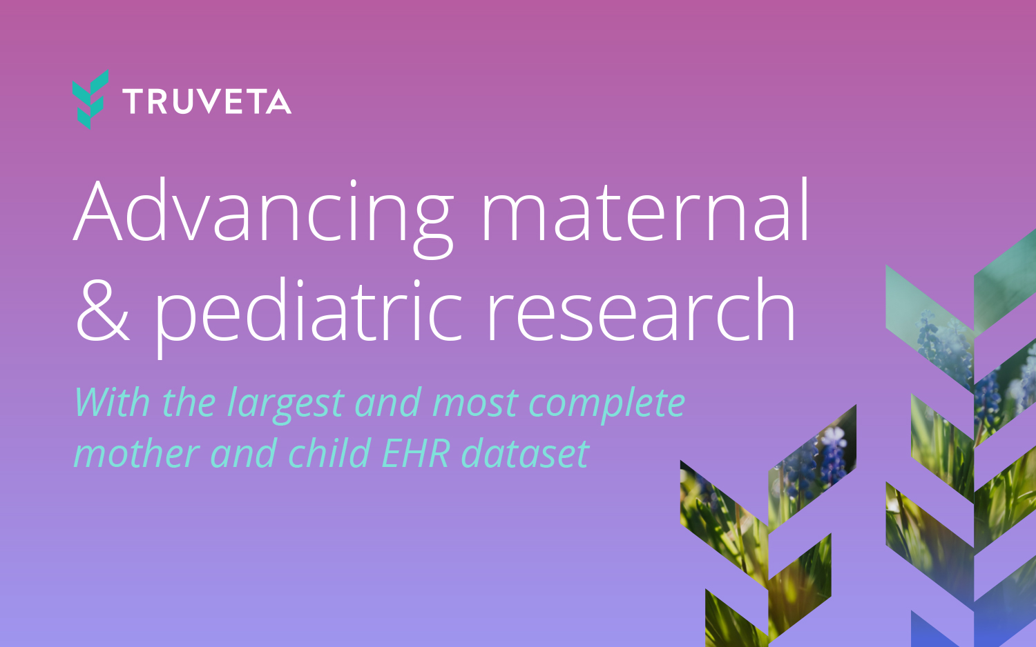 Truveta provides the largest and most complete mother-child electronic health record (EHR) dataset for scientifically rigorous research for mothers and their children.