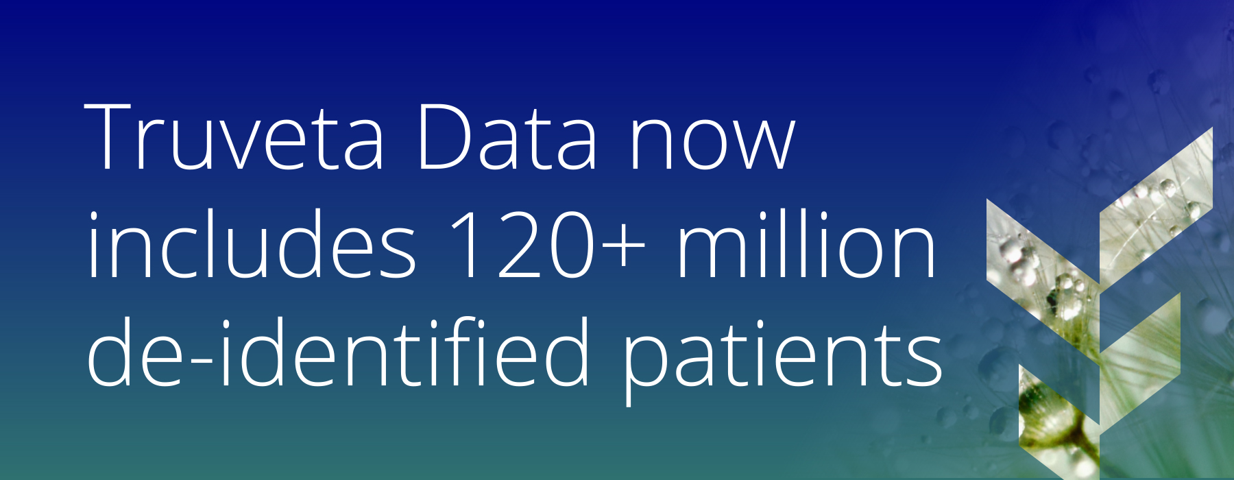 regulatory-grade EHR data for scientifically rigorous medical research 