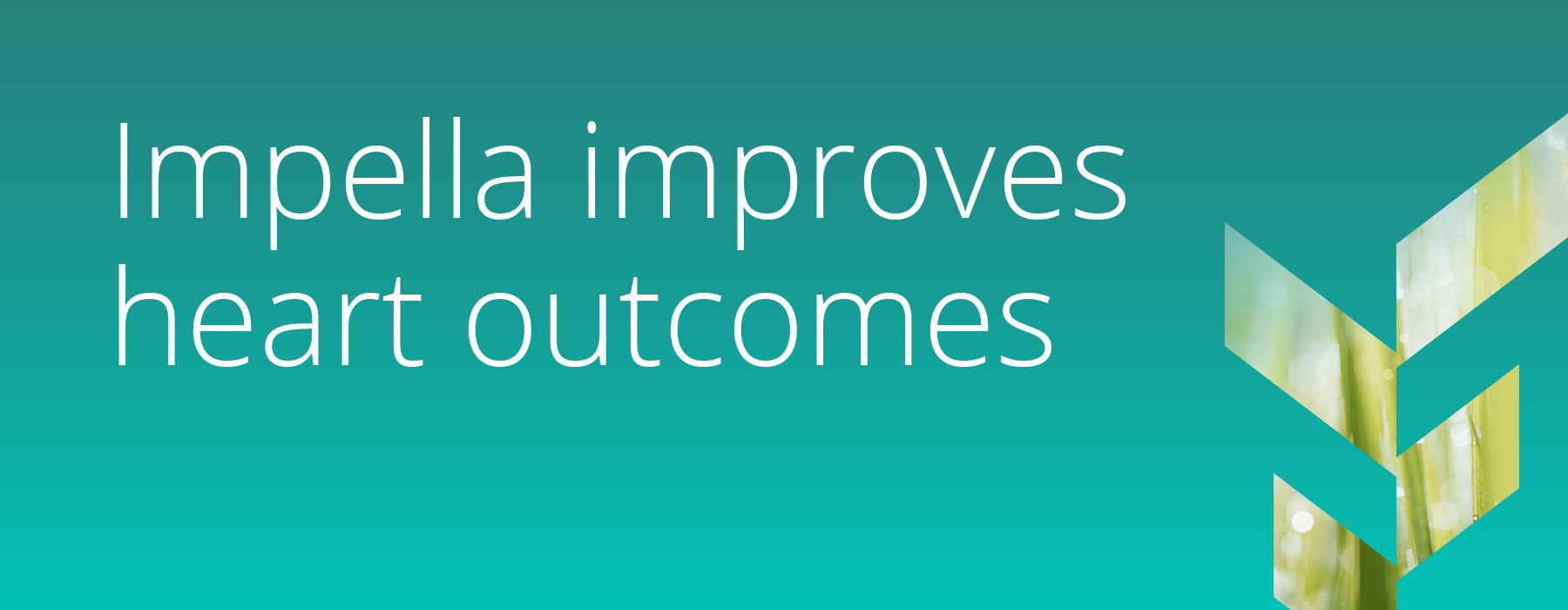 Abiomed Impella device cardiovascular research heart failure patient outcomes