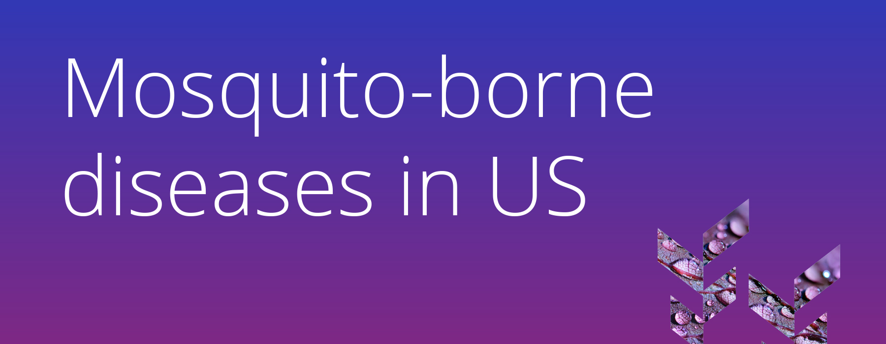 ISPE Annual 2025 RWD RWE EHR data surveillance monitoring public health mosquito-borne illnesses CDC