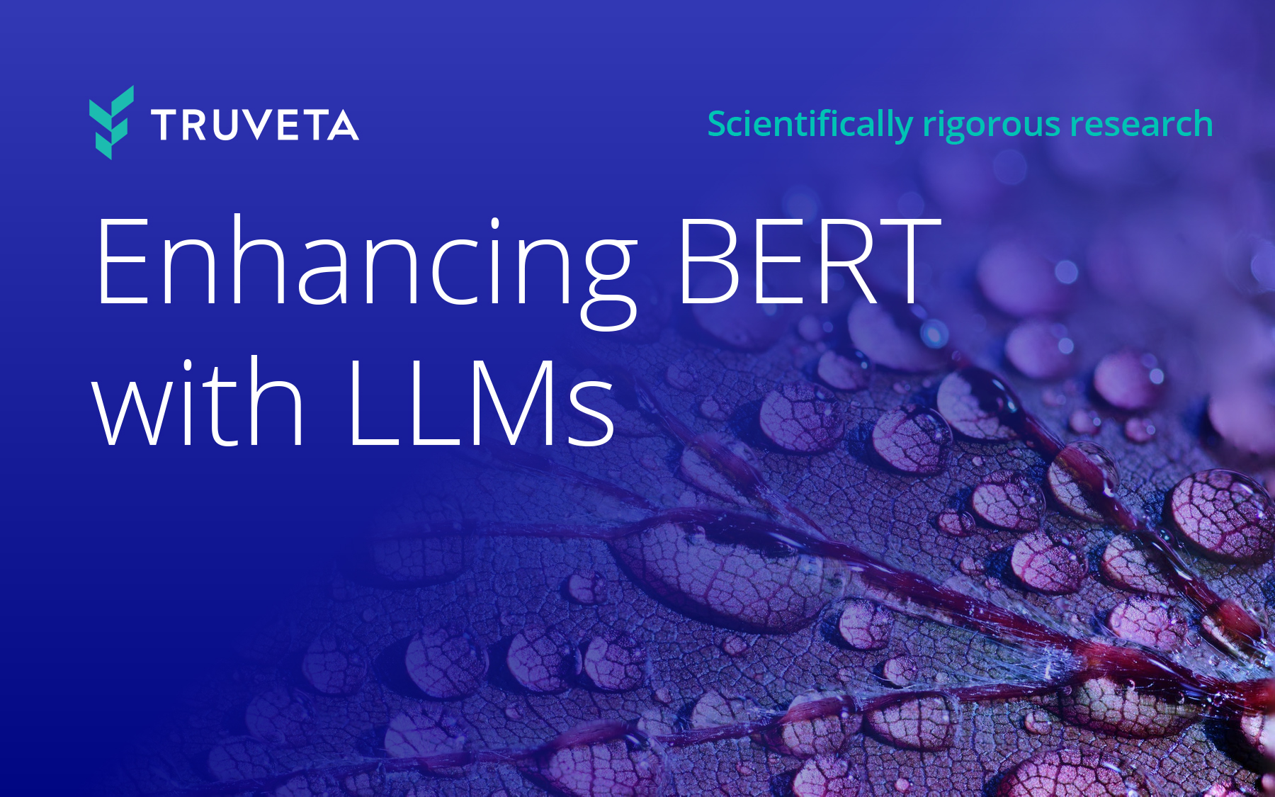 Text thumbnail image: Enhancing BERT with LLMs