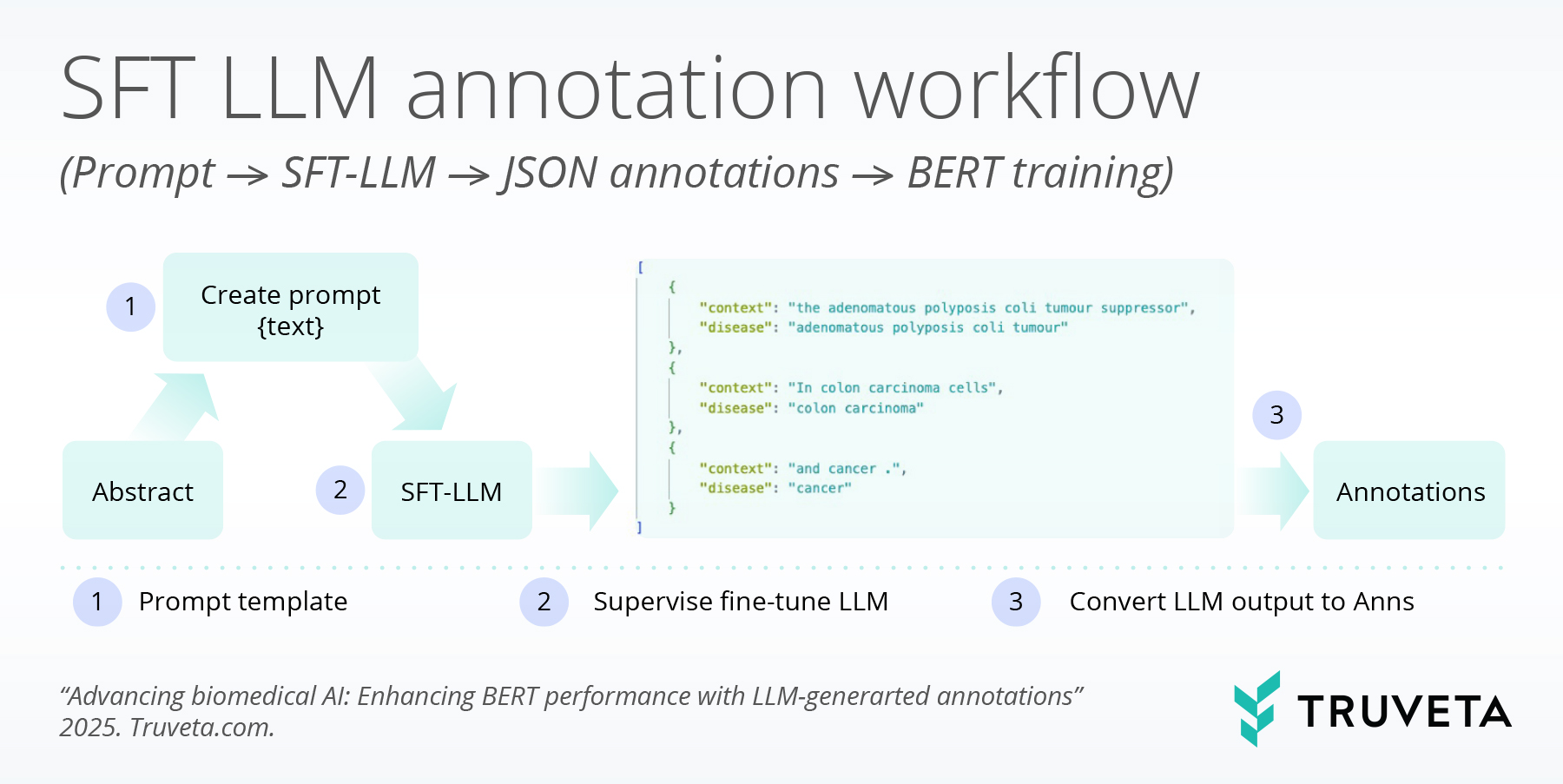 Slide titled “SFT LLM annotation workflow (Prompt → SFT-LLM → JSON annotations → BERT training).” A simple left-to-right flowchart shows three main steps: a box labeled “Create prompt {text}” feeding into “SFT-LLM” (with a parallel box labeled “Abstract” flowing into the same step), then an arrow to a pale panel showing a JSON snippet of example annotations (three objects with "context" and normalized "disease" fields — e.g., "the adenomatous polyposis coli tumour suppressor" → "adenomatous polyposis coli tumour", "In colon carcinoma cells" → "colon carcinoma", and "and cancer ." → "cancer"), and finally an arrow to a box labeled “Annotations.” Numbered callouts along the bottom read: 1 Prompt template; 2 Supervise fine-tune LLM; 3 Convert LLM output to Anns. Truveta logo and a citation appear in the footer.