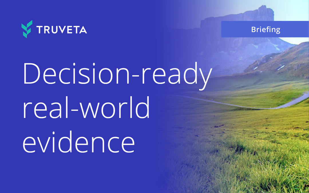 Briefing-Decision-Ready-RWE-1080x675